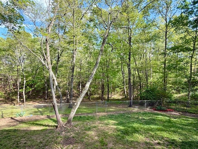 329 Tommy's Lane Murphy, NC 28906 - Photo 70 of 77 a view of a tree in the yard