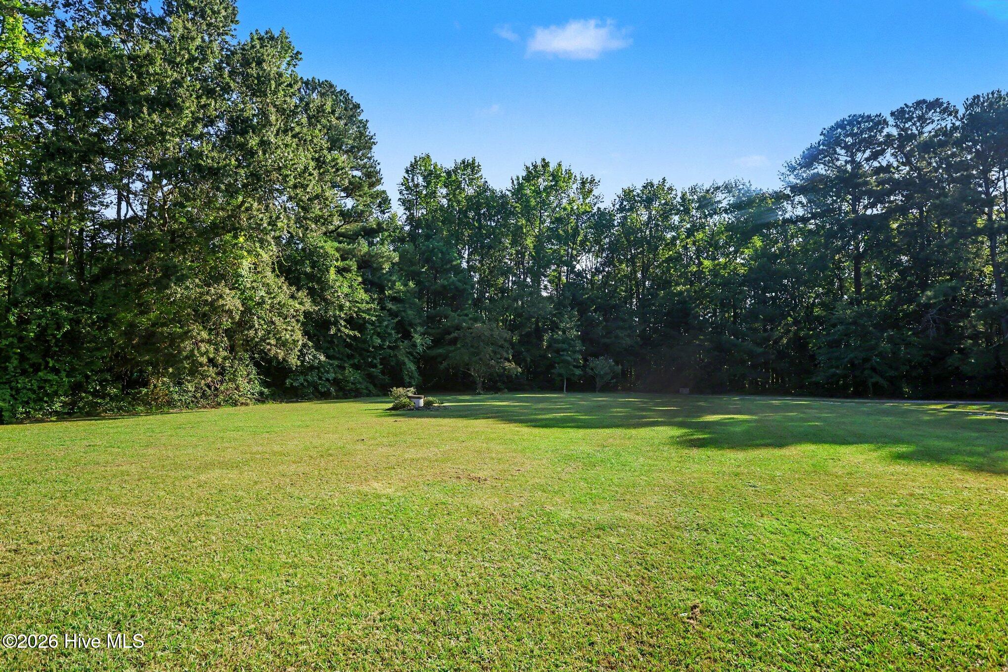 16039 Buffalo Road Clayton, NC 27527 - Photo 27 of 33 Gallery Image 27