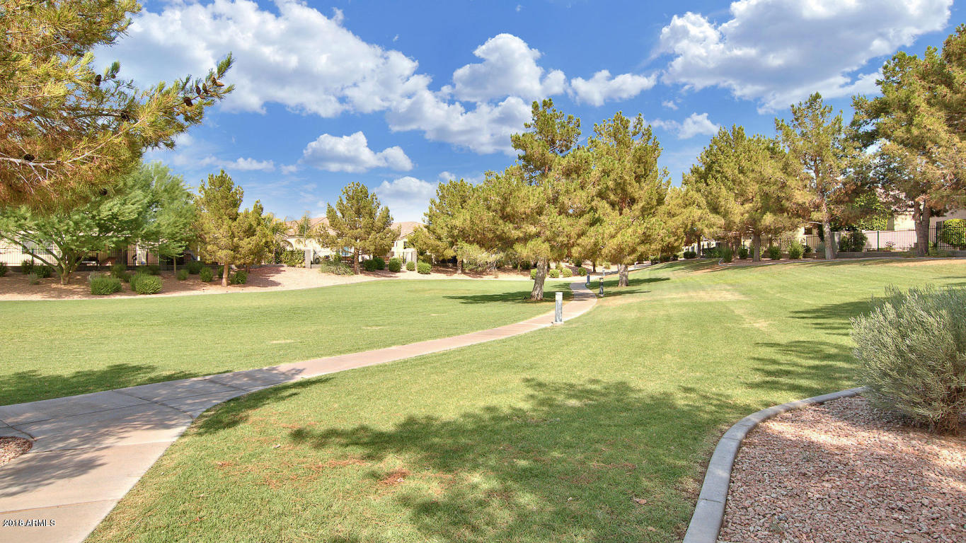 3331 East Fremont Road Phoenix, AZ 85042 - Photo 38 of 48 Community Grassy Park Area