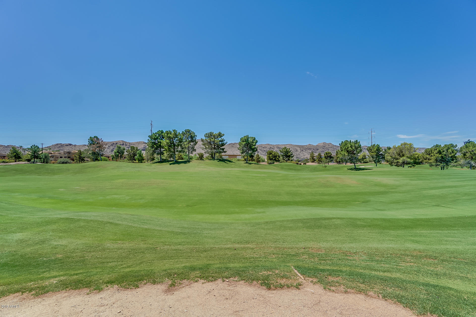 3331 East Fremont Road Phoenix, AZ 85042 - Photo 10 of 48 Golf View-Backyard