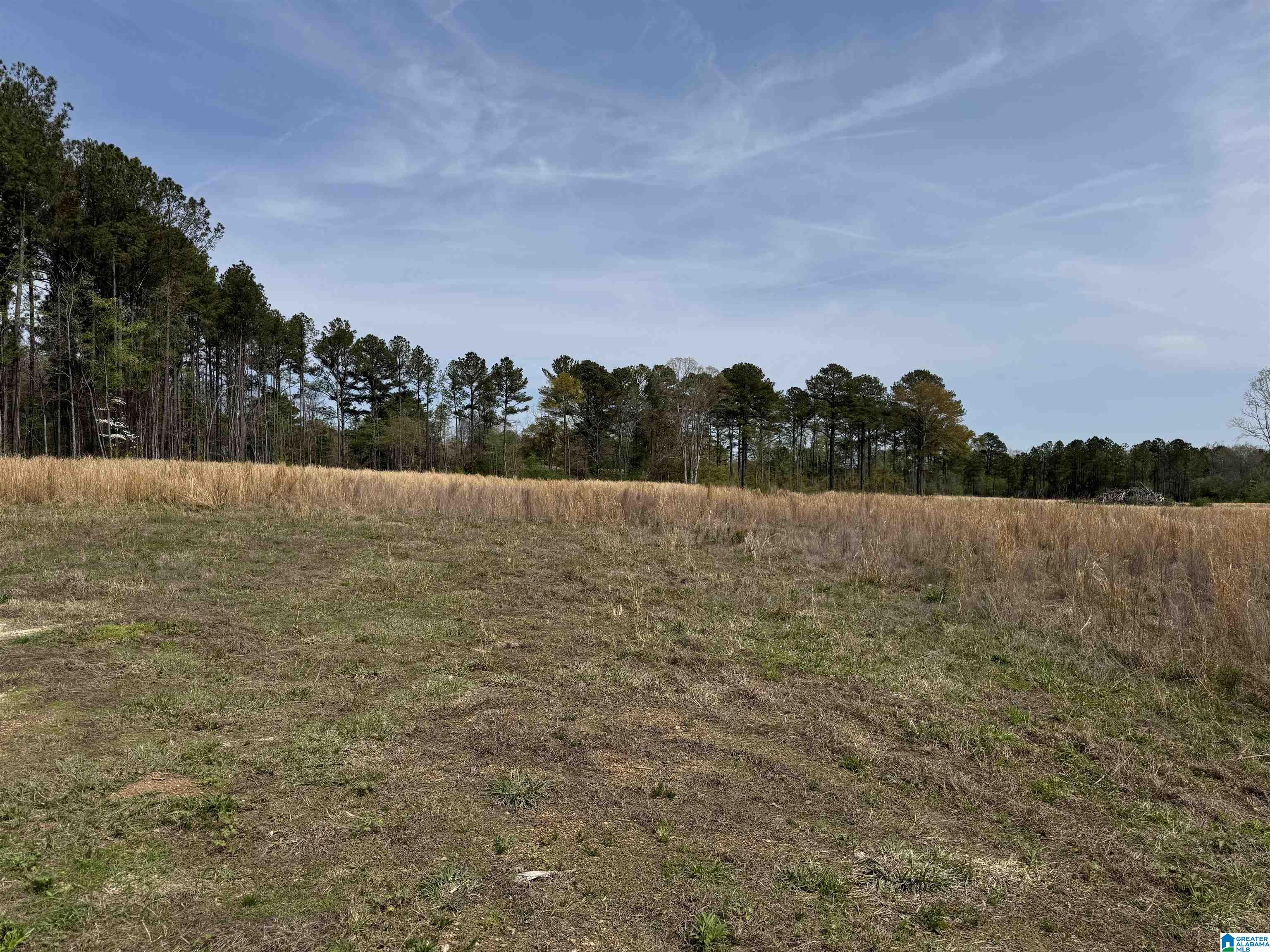 0 Greensport Road Ashville, AL 35953 - Photo 36 of 43
