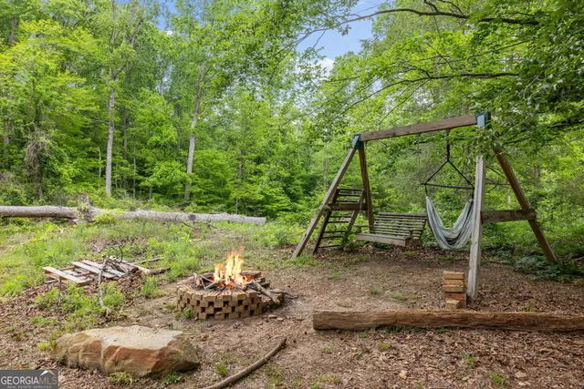 a view of a lush green forest