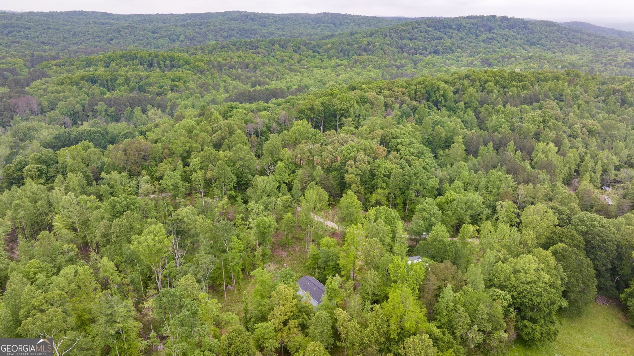 527 Louden Ridge Road Alto, GA 30510 - Photo 42 of 42