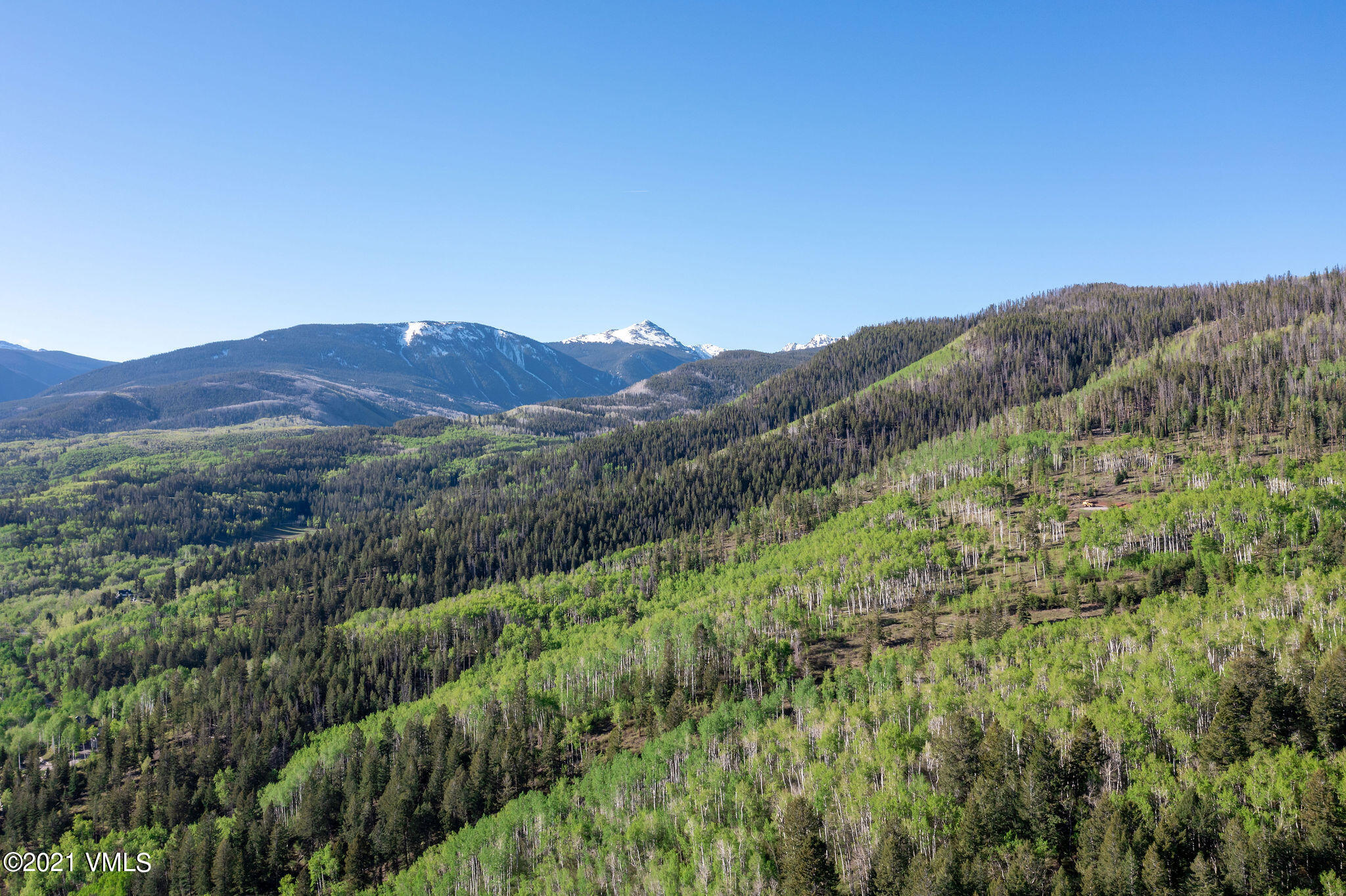 a view of a lush green forest with mountains in the background