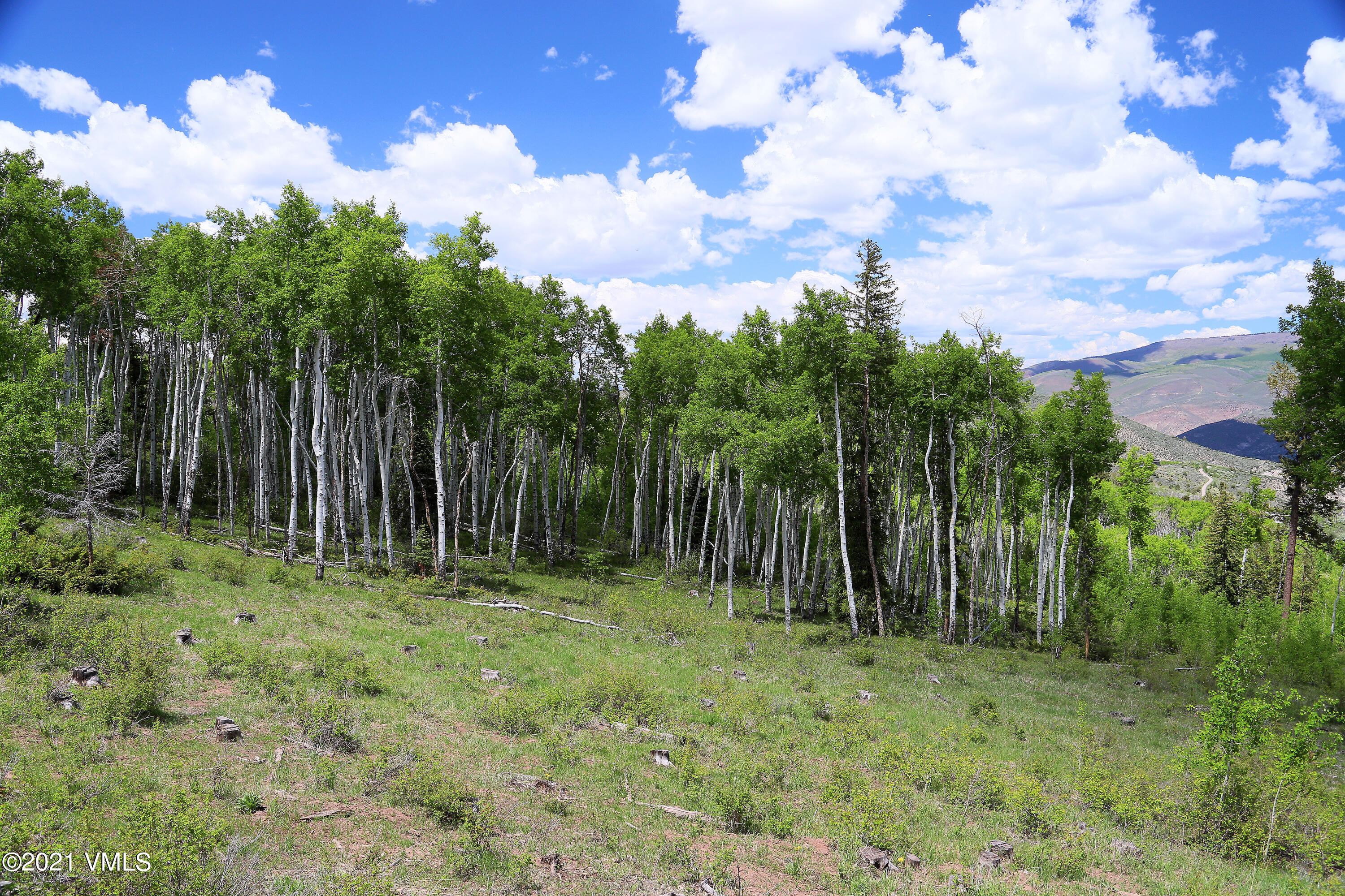 2525 Colorow Road Edwards, CO 81632 - Photo 11 of 20 a backyard of a house with lots of trees