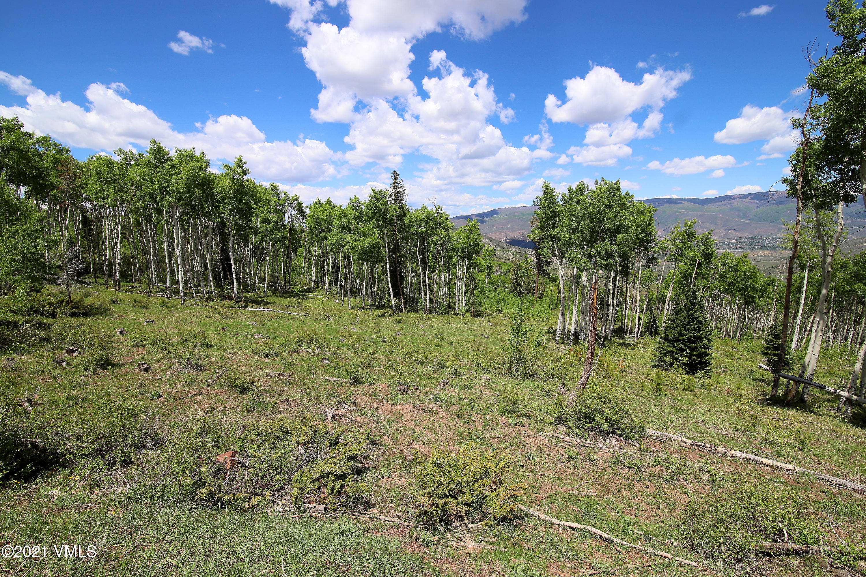 2525 Colorow Road Edwards, CO 81632 - Photo 14 of 20 a view of outdoor space with trees all around