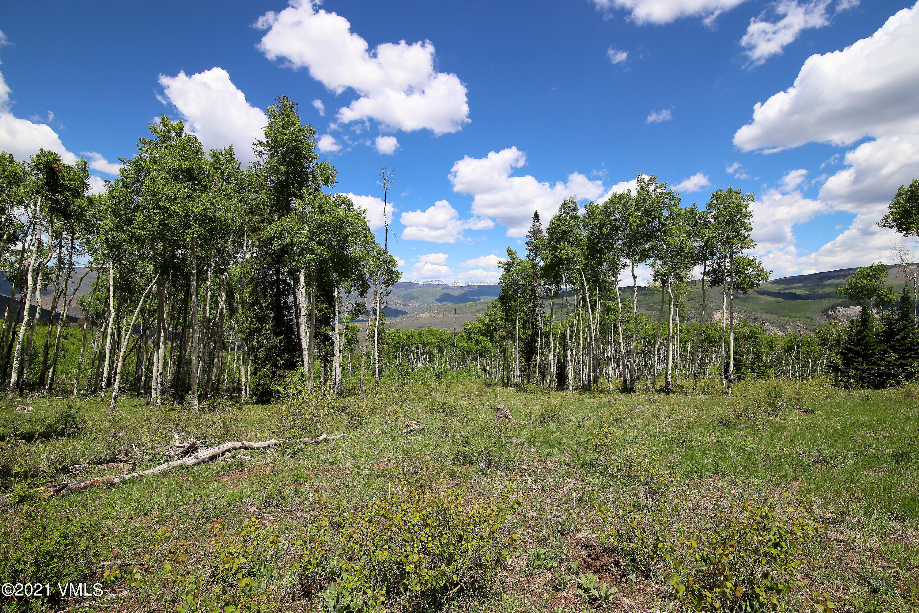 2525 Colorow Road Edwards, CO 81632 - Photo 15 of 20 a view of a tree in a yard