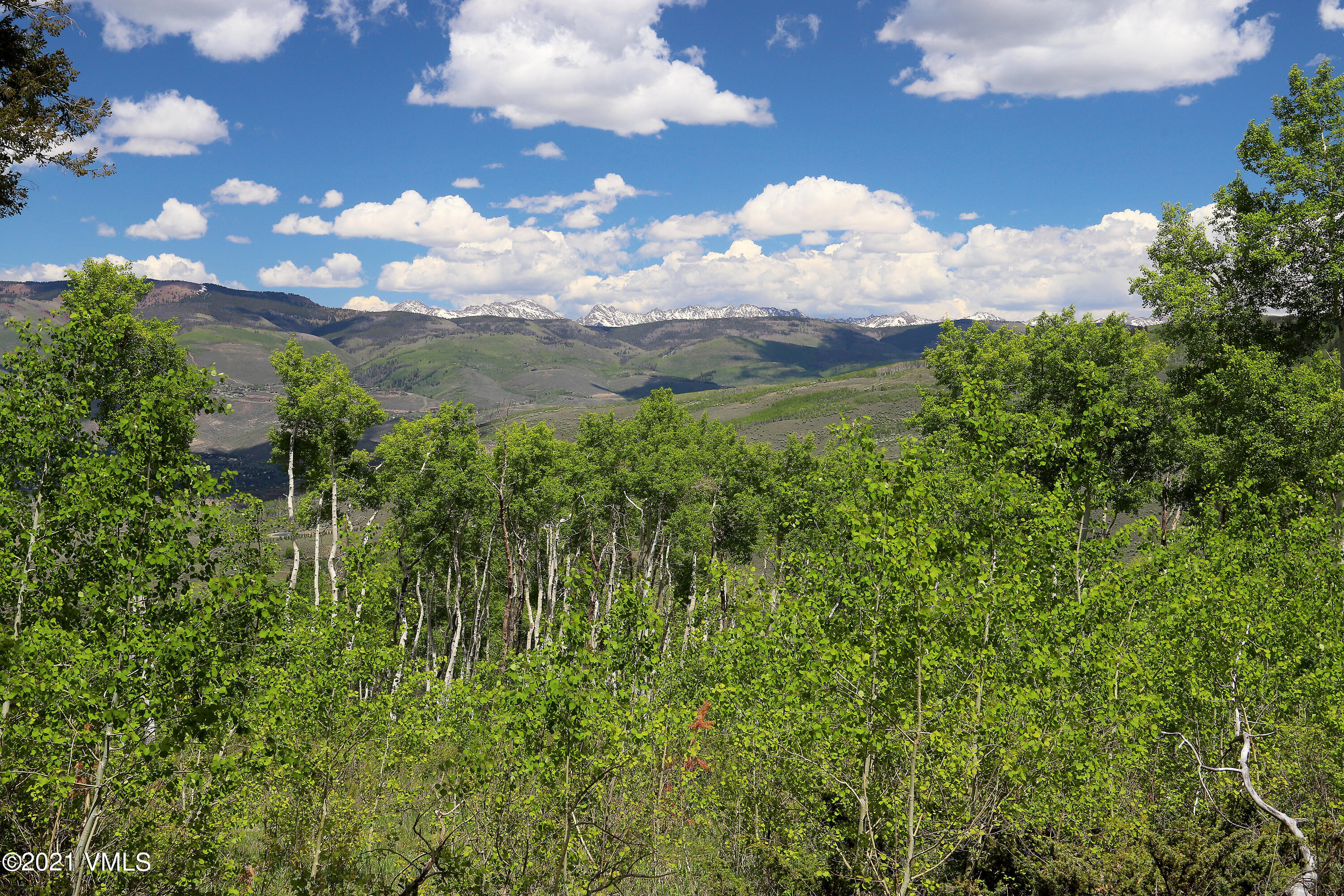 2525 Colorow Road Edwards, CO 81632 - Photo 17 of 20 a view of a bunch of trees and a yard
