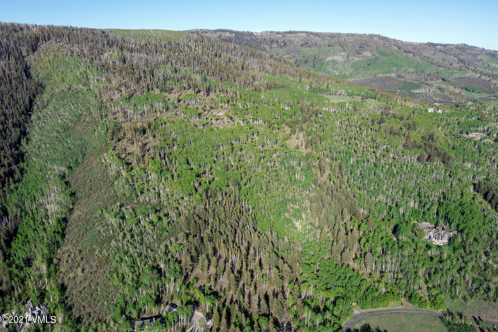 2525 Colorow Road Edwards, CO 81632 - Photo 2 of 20 a view of a forest with a mountain and trees