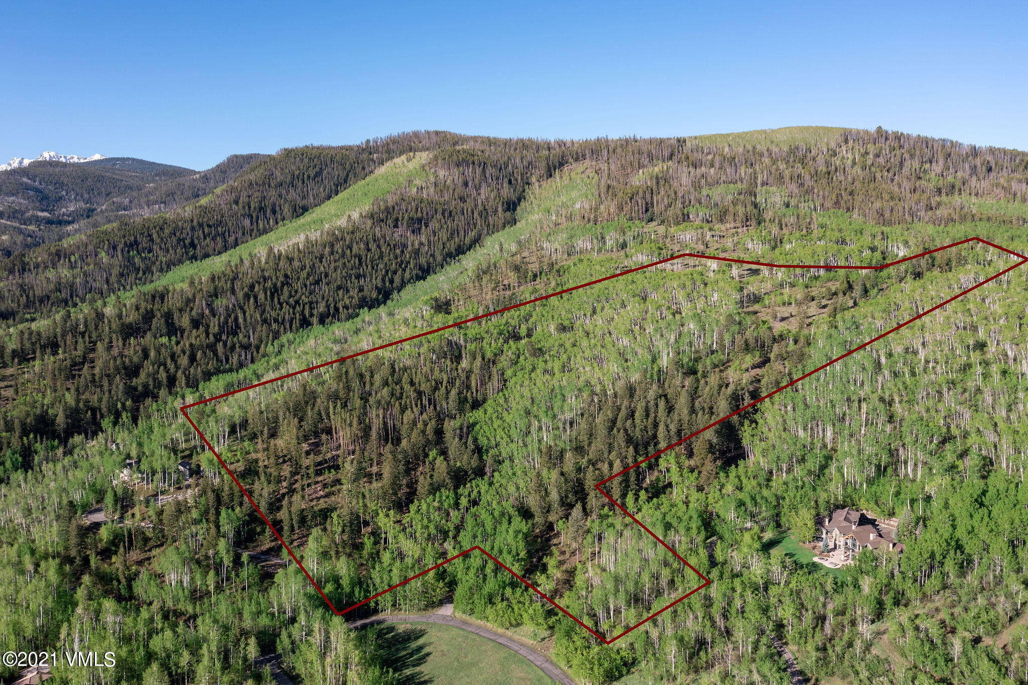 2525 Colorow Road Edwards, CO 81632 - Photo 10 of 20 a view of a forest with a mountain