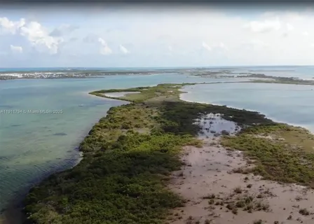 a view of an ocean beach