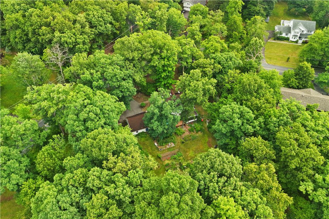 209 Remington Road East Stroudsburg, PA 18301 - Photo 38 of 41 An aerial perspective reveals a secluded residence nestled within a verdant, mature treed lot, offering ultimate privacy.