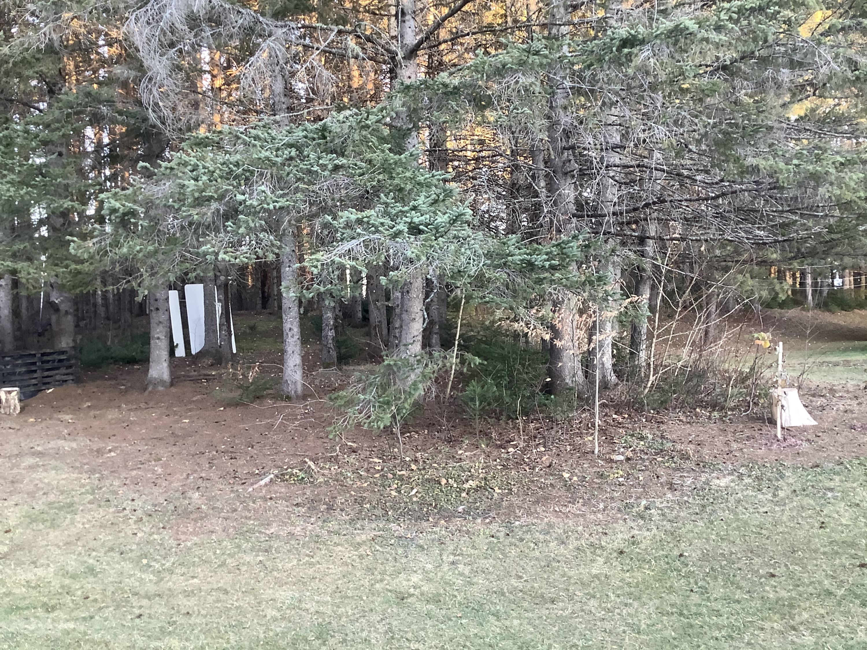 208 Conant Road Presque Isle, ME 04769 - Photo 38 of 38 A0F1A1EA-173A-4943-A0E8-8928A5CE05D9