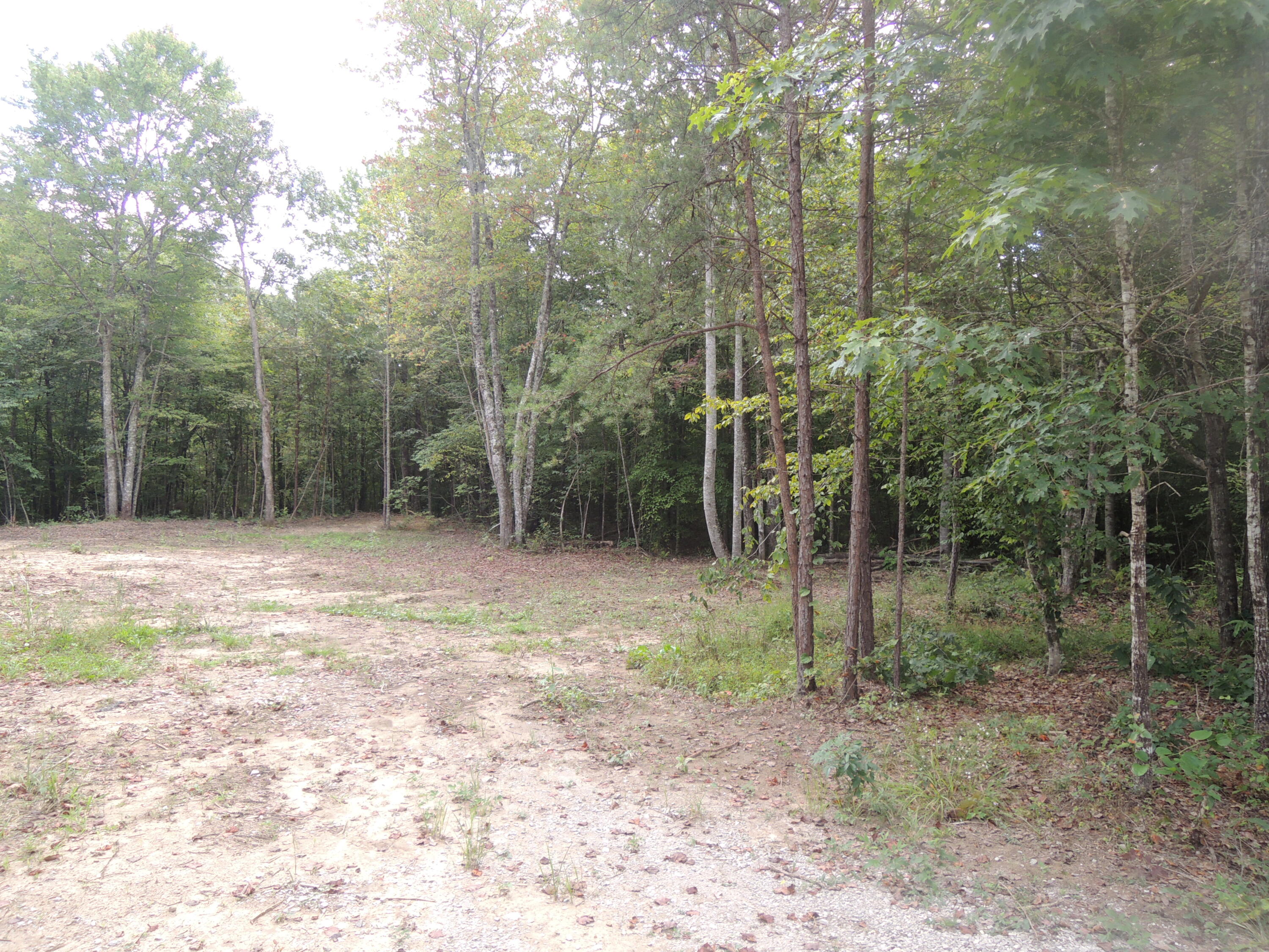 Hargis Road Grimsley, TN 38565 - Photo 2 of 3 DSCN7842