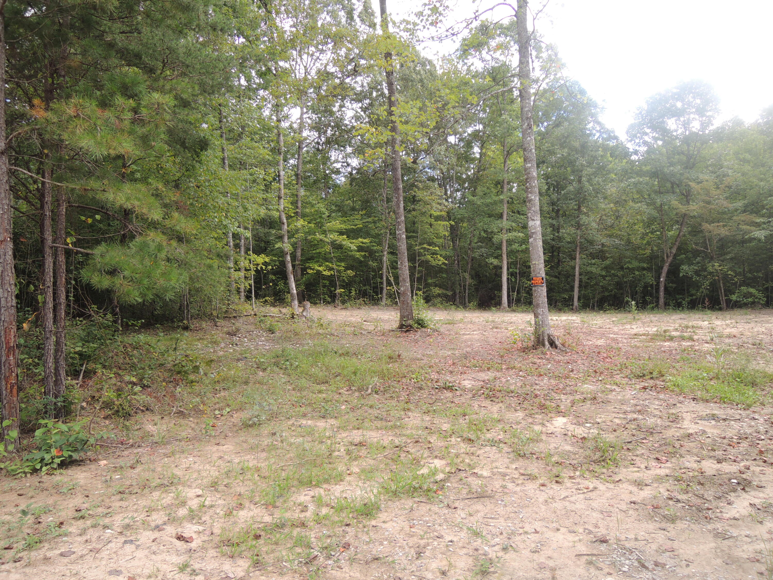 Hargis Road Grimsley, TN 38565 - Photo 3 of 3 DSCN7843