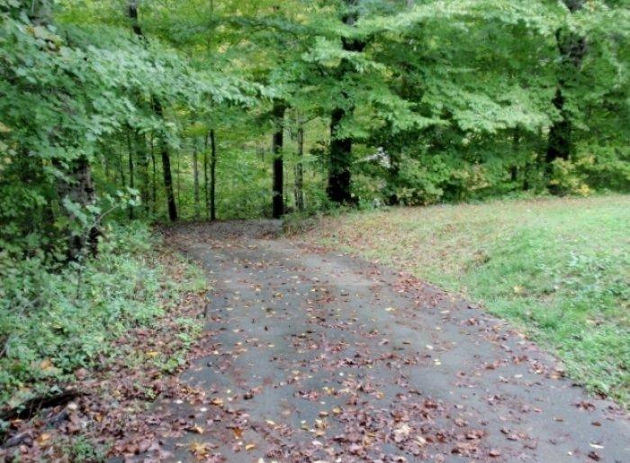 303 Strader Road Powell, TN 37849 - Photo 12 of 25 303 strader 6