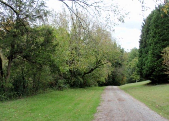 303 Strader Road Powell, TN 37849 - Photo 15 of 25 303 strader 3