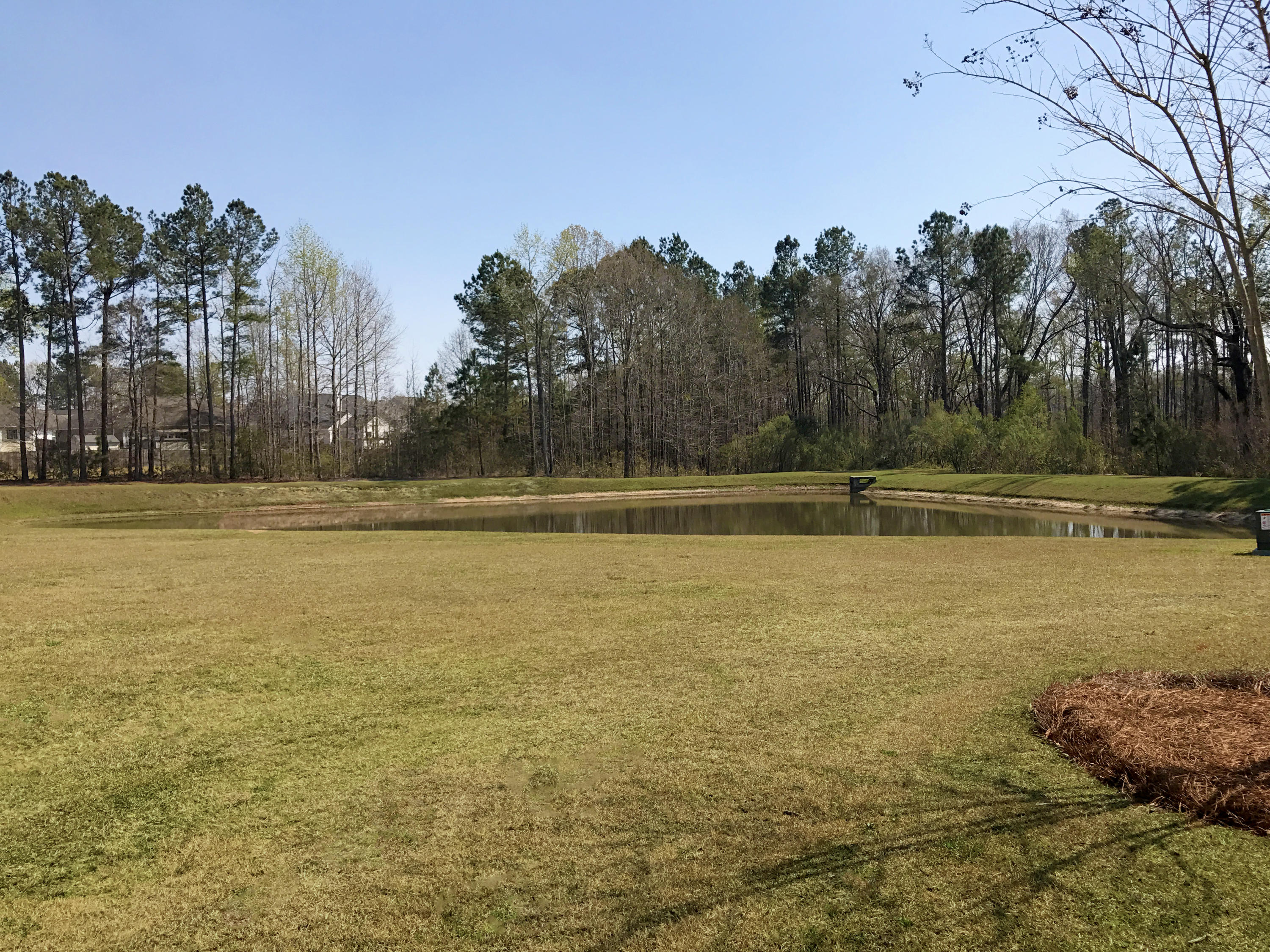 510 Glady Road Moncks Corner, SC 29461 - Photo 38 of 44 IMG_3843