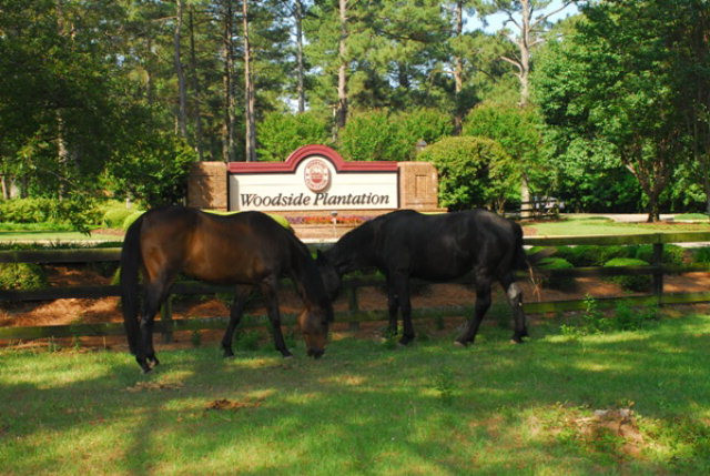 397 Forest Pines Road Aiken, SC 29803 - Photo 1 of 1 Gallery Image 1