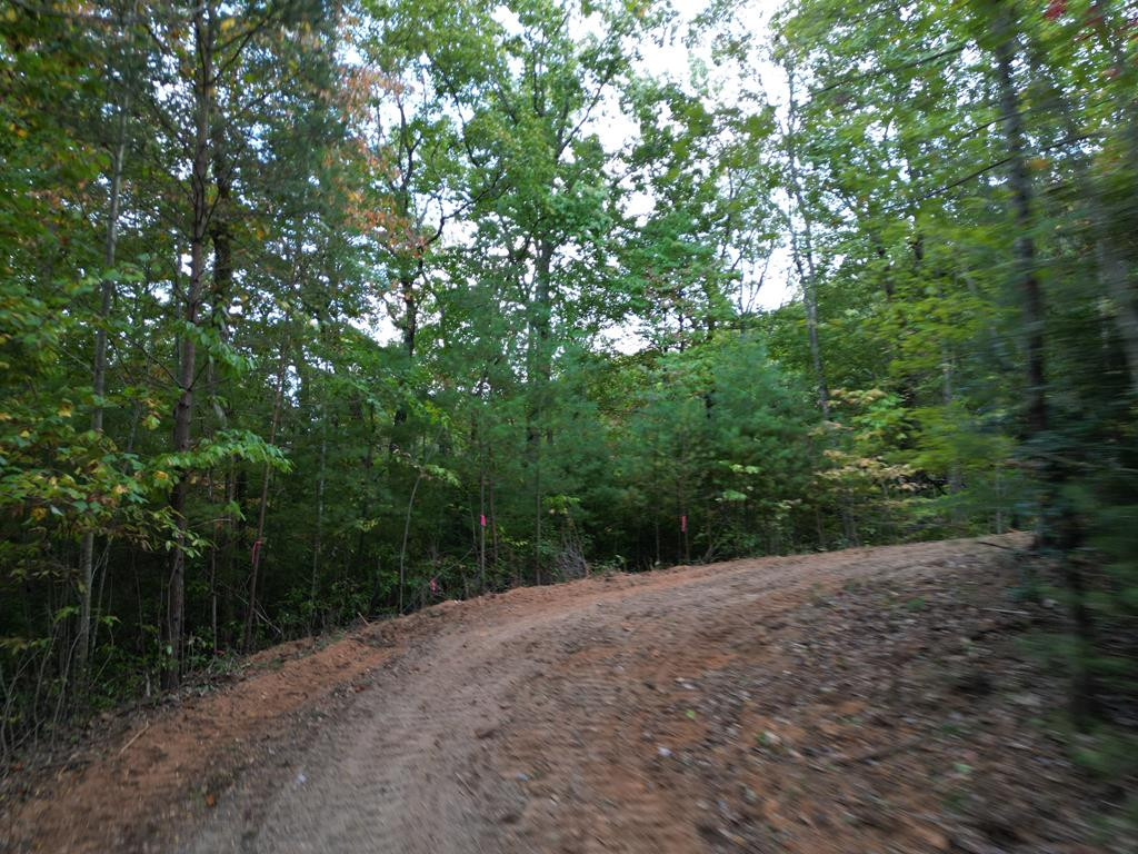 3.69-ac Atoah Loop Murphy, NC 28906 - Photo 14 of 28 Gallery Image 14