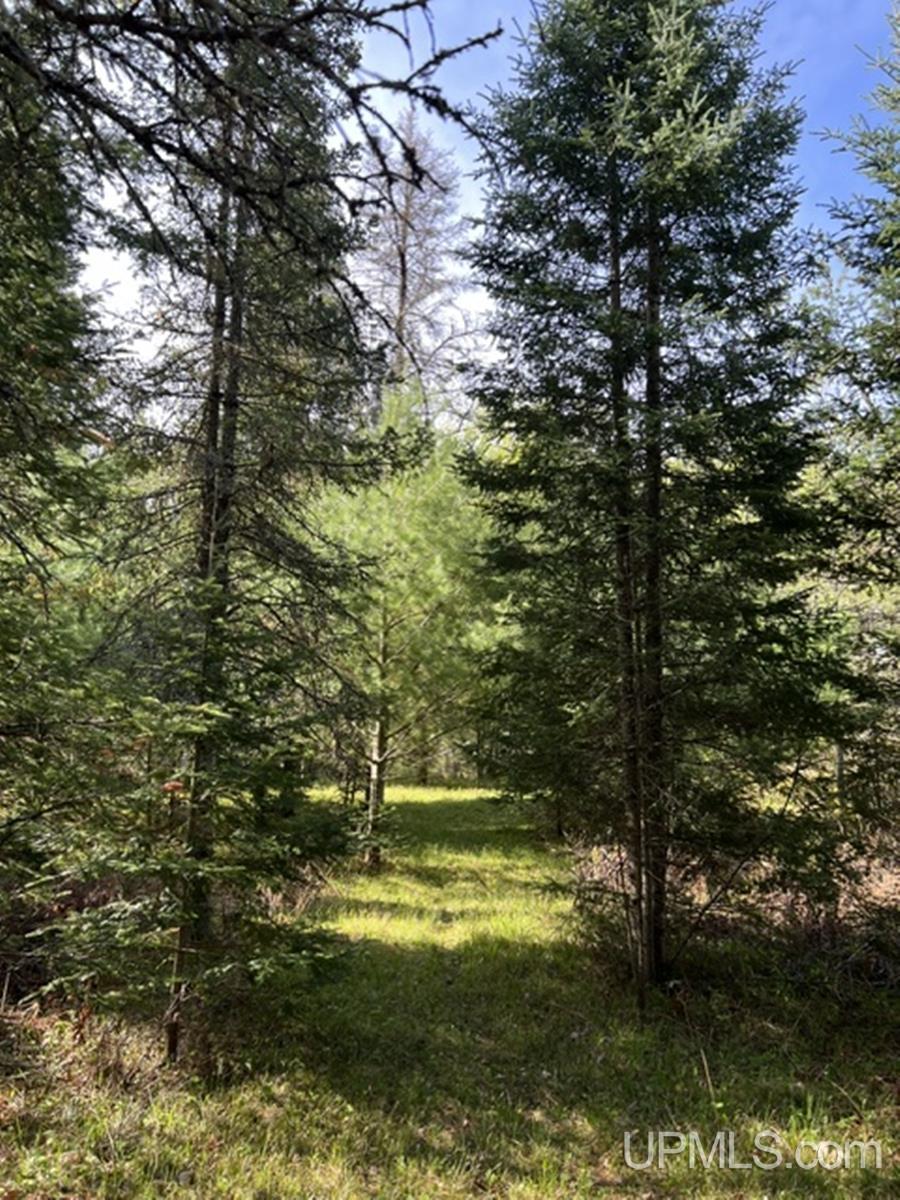 T-wi Wi 54156 Road Pembine, WI 54156 - Photo 11 of 17