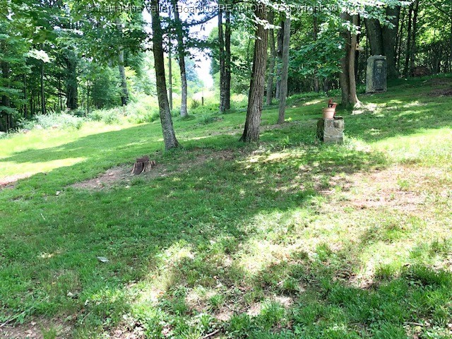 8062 Back Mountain Road Durbin, WV 26264 - Photo 10 of 50 Gallery Image 10