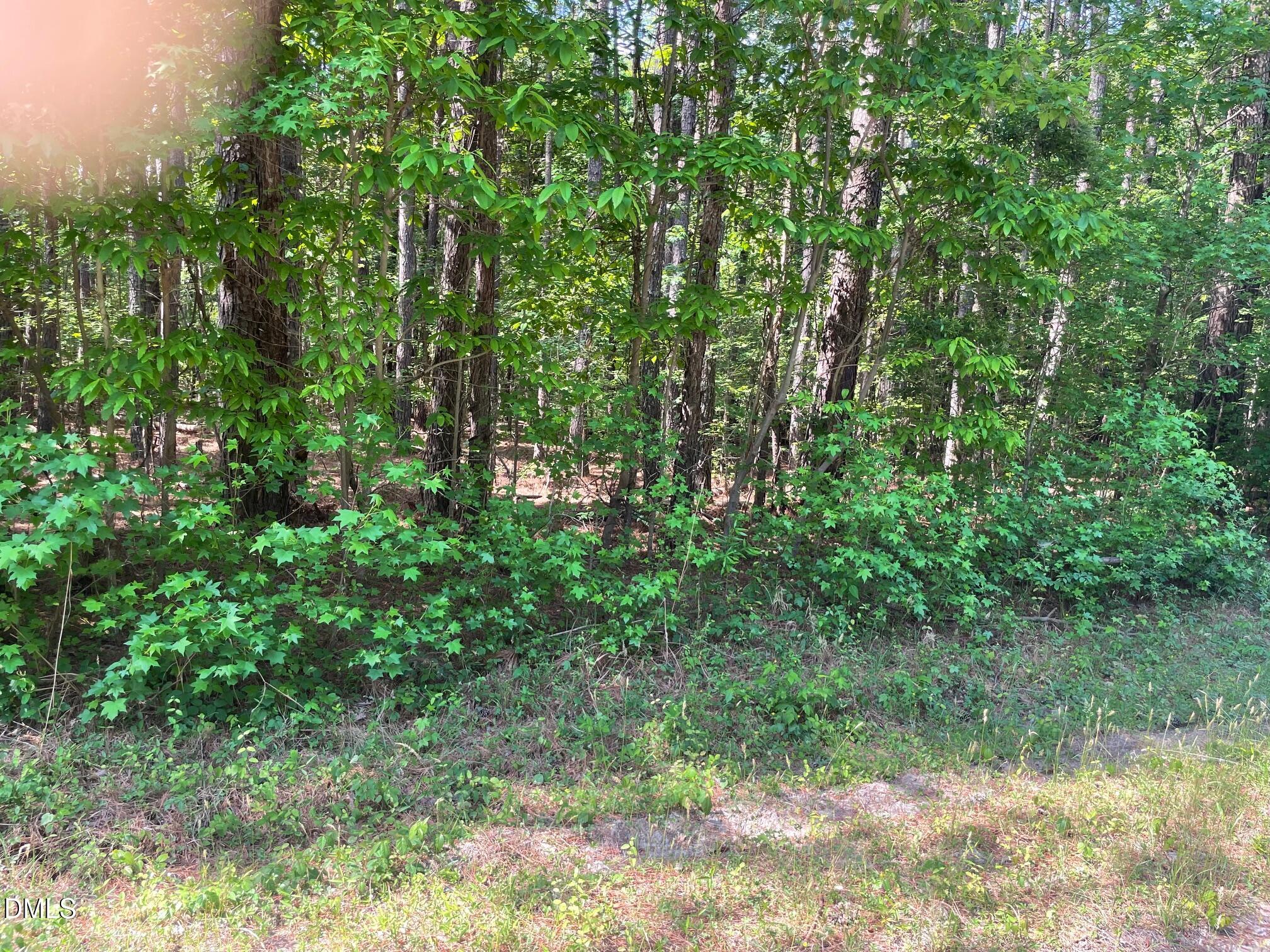 300-2 Landmark Road Willow Spring, NC 27592 - Photo 3 of 6 IMG_2865