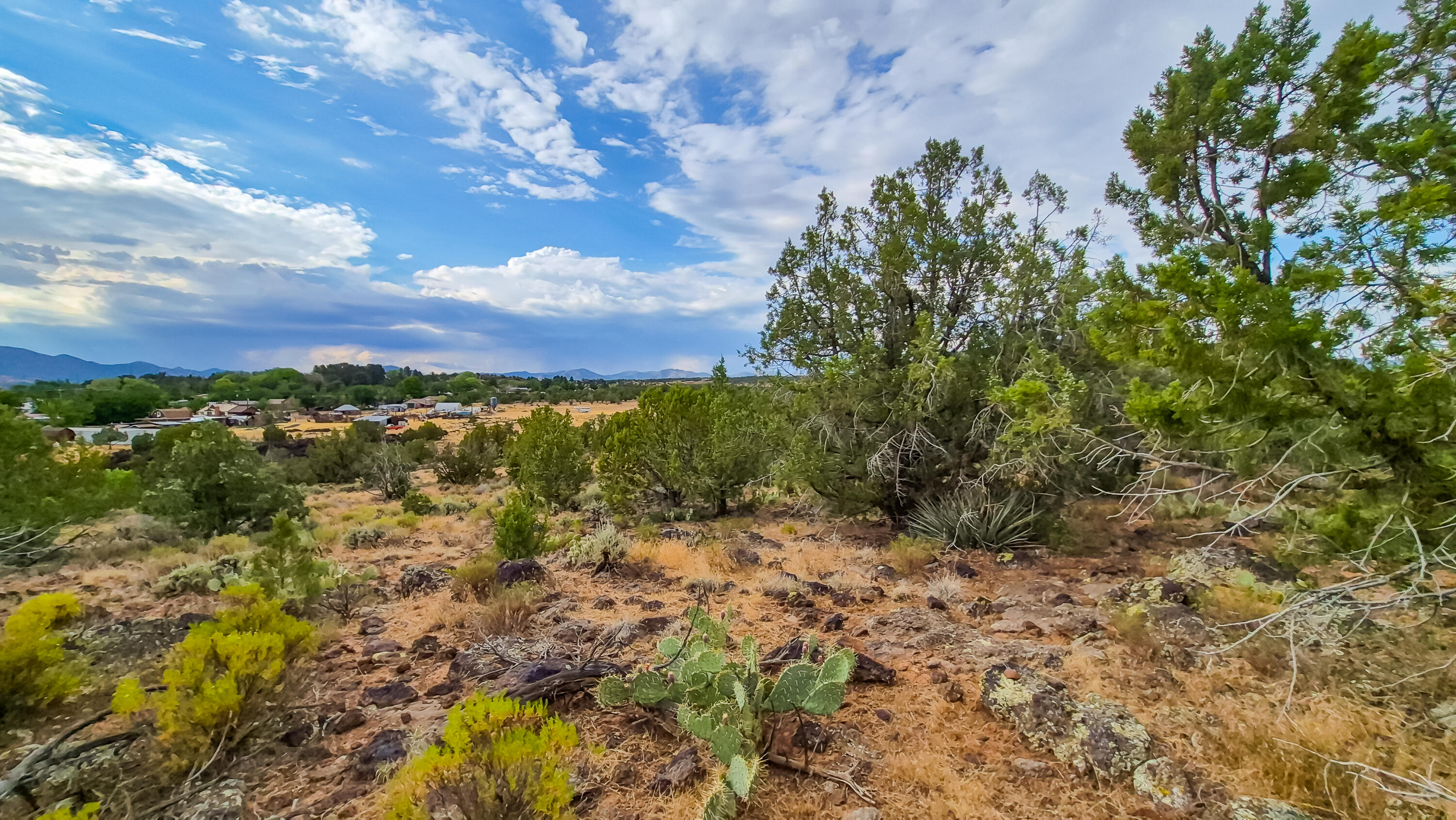 East Veyo Resort Road, Unit 7158ANW Veyo, UT 84782 - Photo 18 of 22 20260722_183729