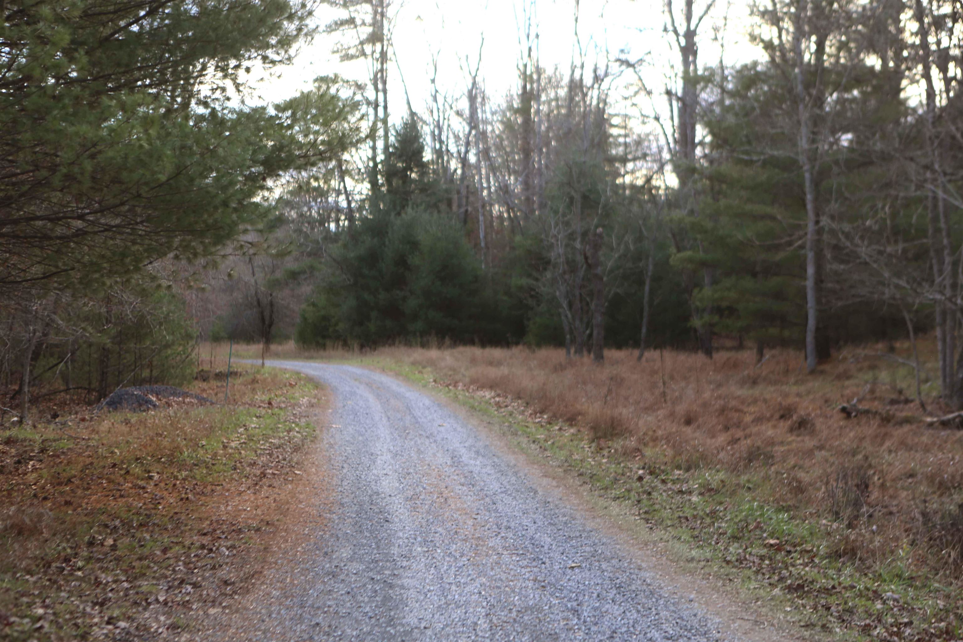 Lot #16 Bolshers Run Millboro, VA 24460 - Photo 11 of 11 a view of a forest with trees in the background