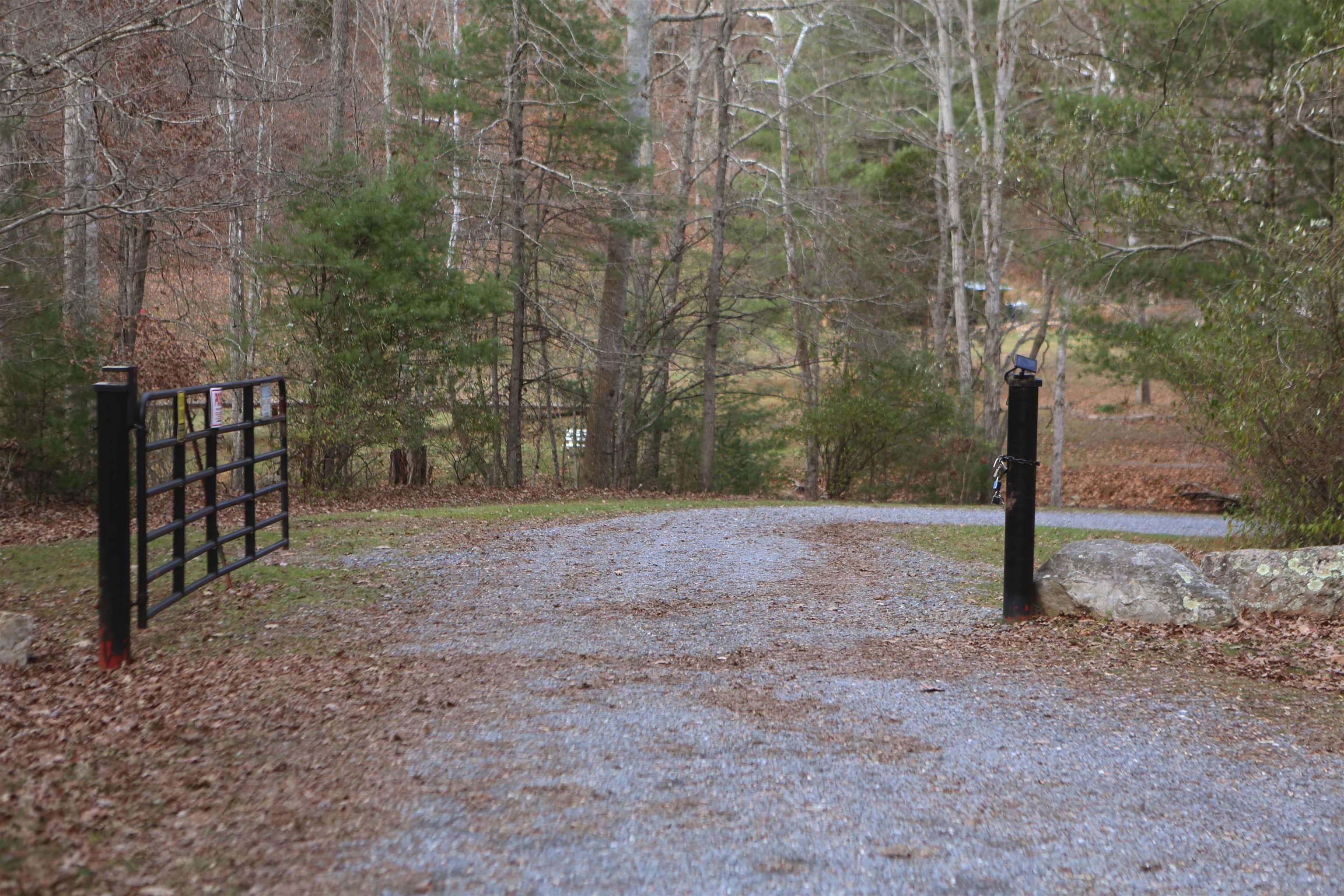 Lot #16 Bolshers Run Millboro, VA 24460 - Photo 2 of 11 a view of a yard with plants and trees