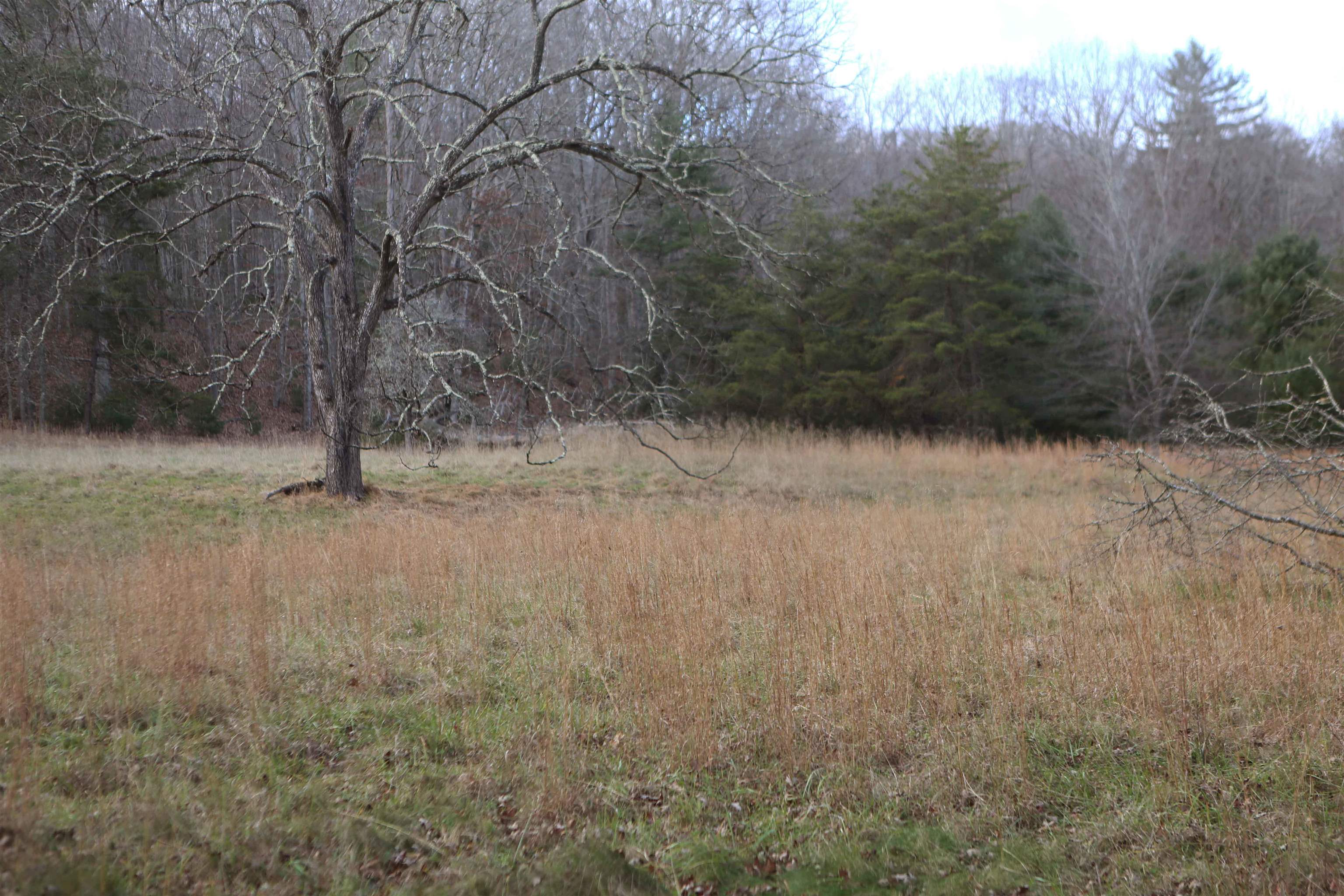 Lot #16 Bolshers Run Millboro, VA 24460 - Photo 7 of 11 a view of outdoor space and trees