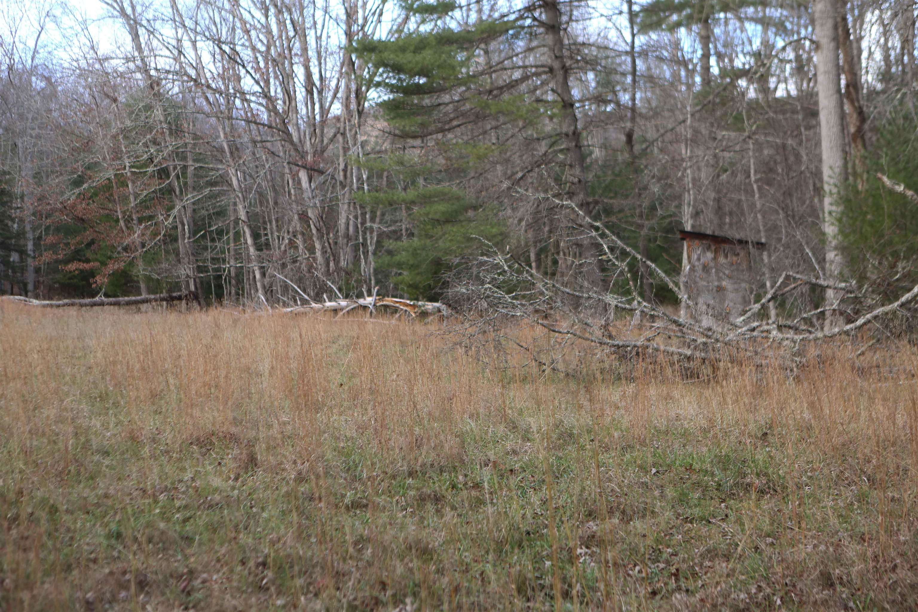 Lot #16 Bolshers Run Millboro, VA 24460 - Photo 10 of 11 a view of a yard