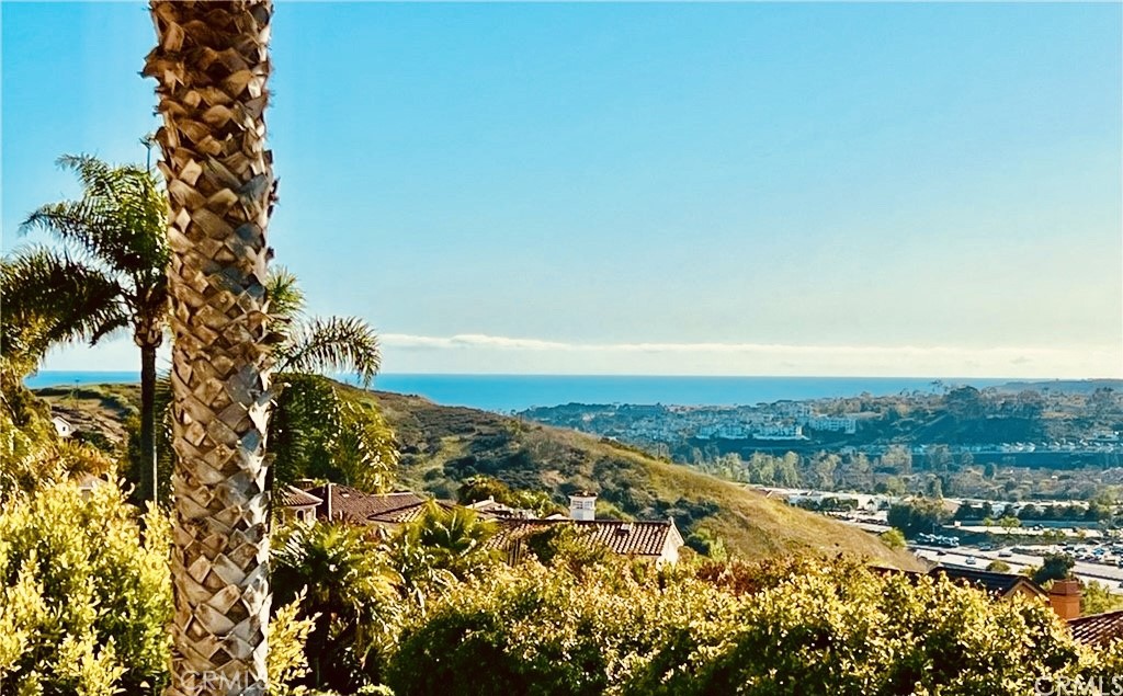 33532 Valle Road San Juan Capistrano, CA 92675 - Photo 7 of 20