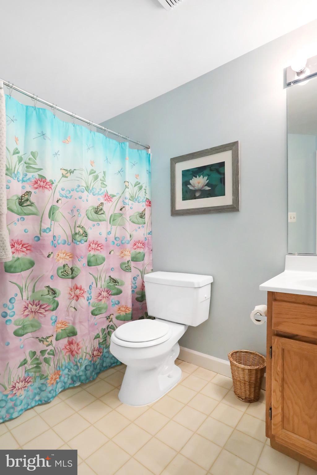 9107 Ridgefield Lane Frederick, MD 21701 - Photo 22 of 30 Full Bath in Basement