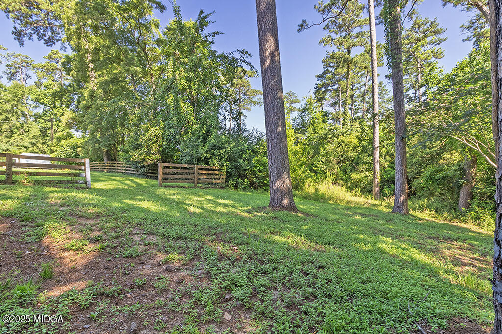 782 Wimbish Road Macon, GA 31210 - Photo 41 of 44 782-Wimbish-Rd-Side-Yard-02