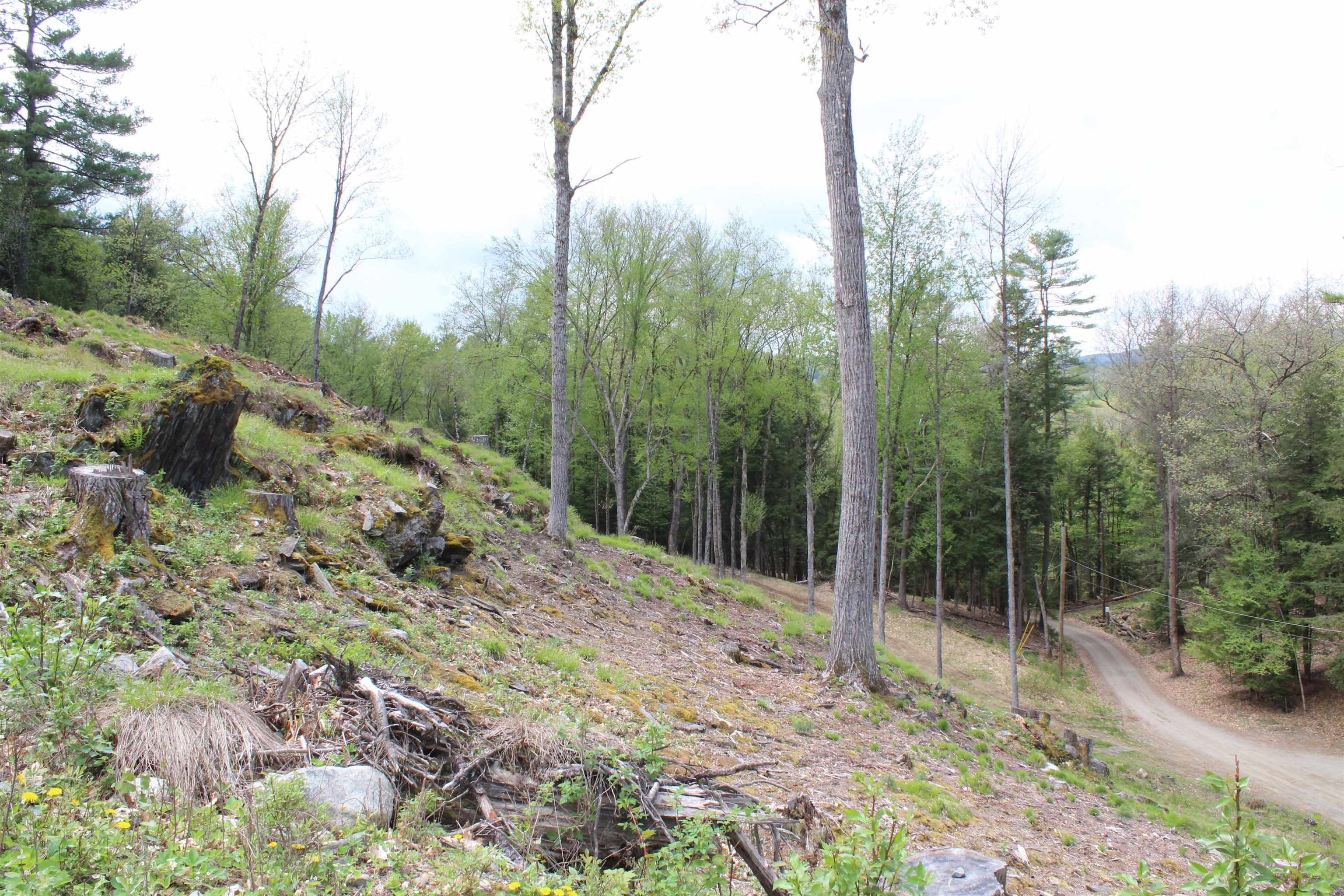 Lot 23-24 Wetherbee Road Lyman, NH 03585 - Photo 34 of 54