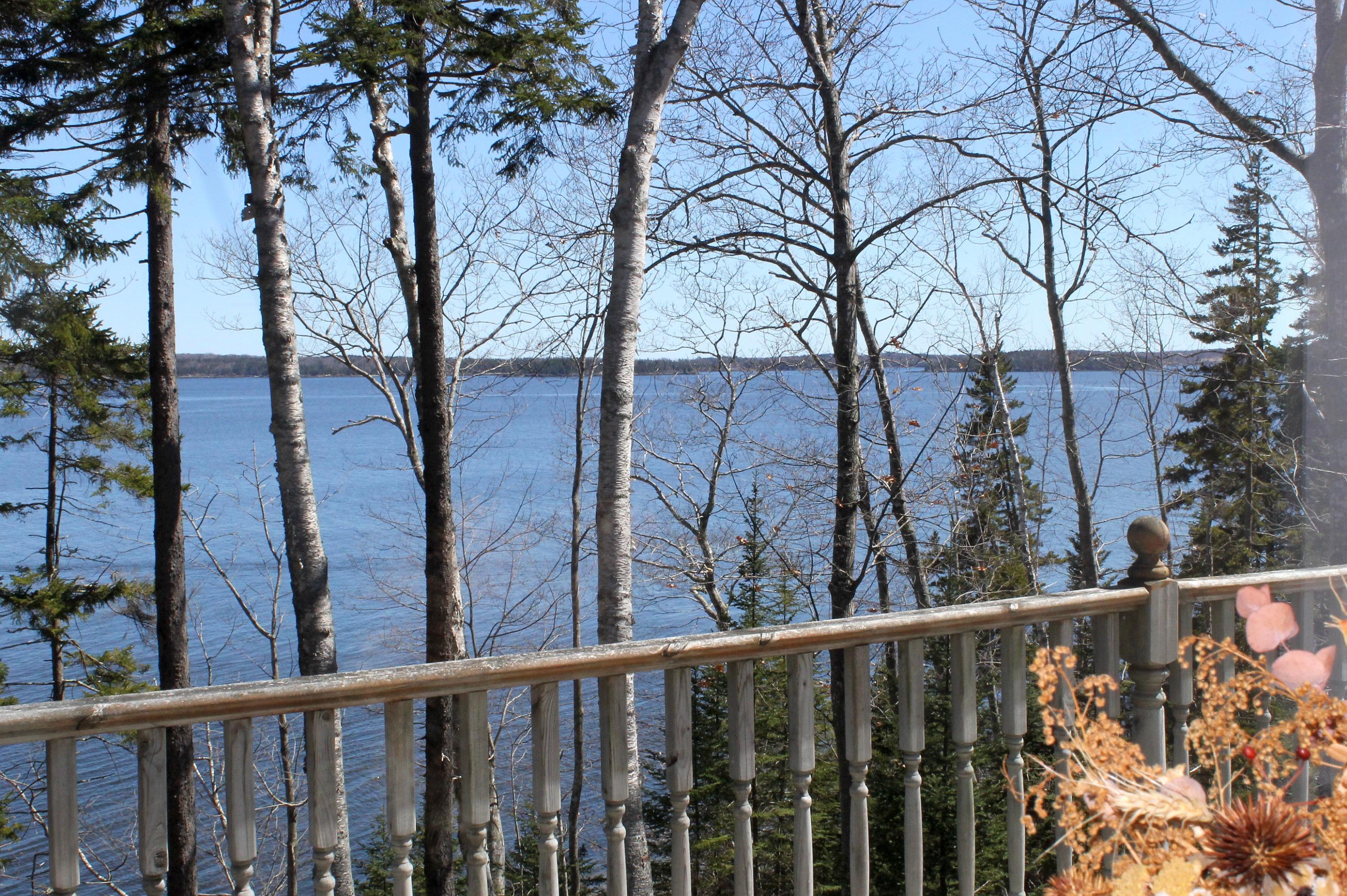 338 Shore Road Northport, ME 04849 - Photo 2 of 35 IMG_1250
