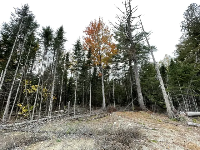 $99,900 | 3306 Mariaville Road, Mariaville, ME 04605