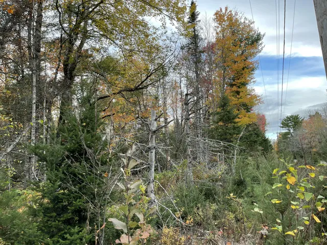 $99,900 | 3306 Mariaville Road, Mariaville, ME 04605