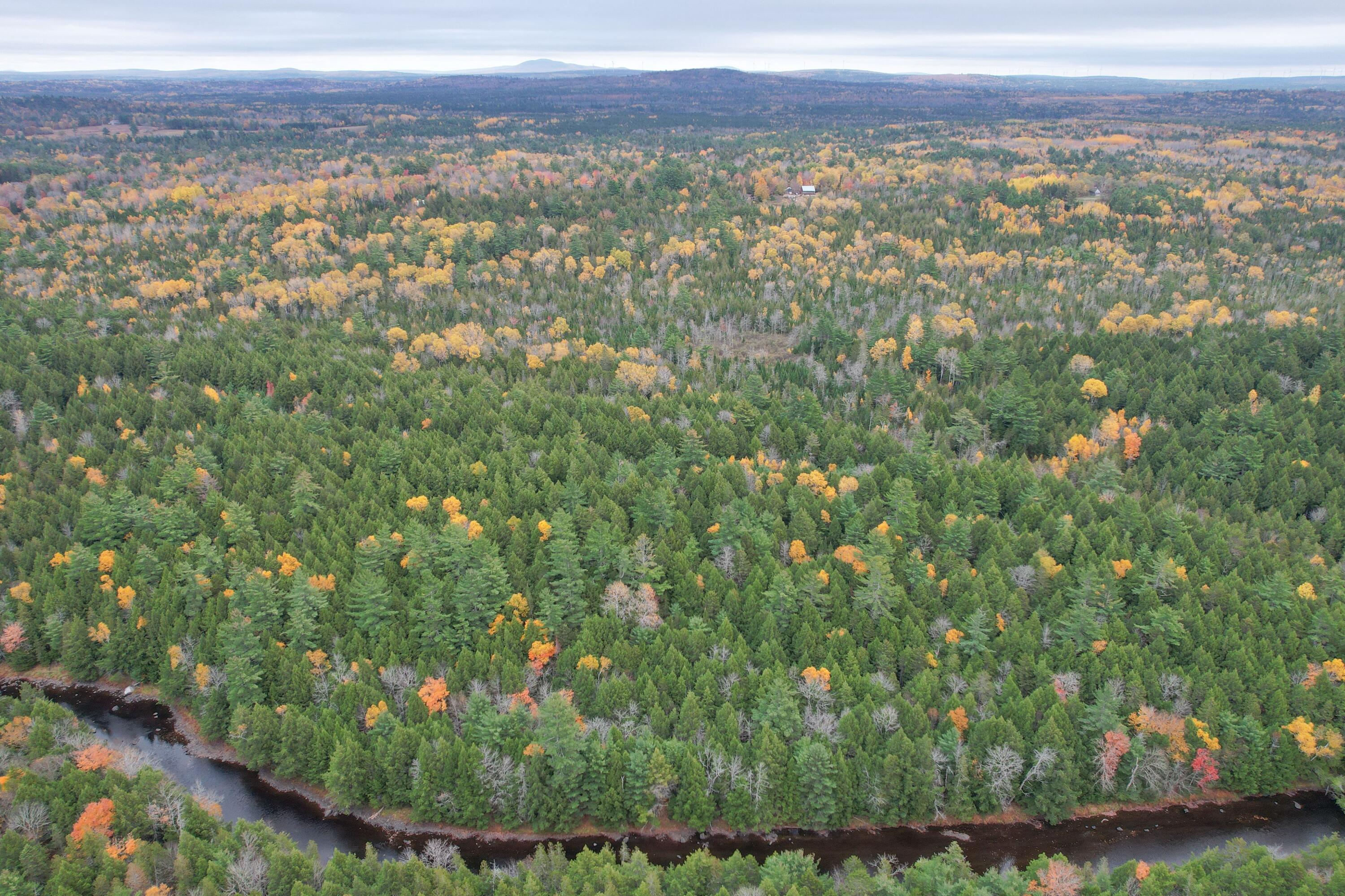 3306 Mariaville Road Mariaville, ME 04605 - Photo 20 of 21 DJI_0446