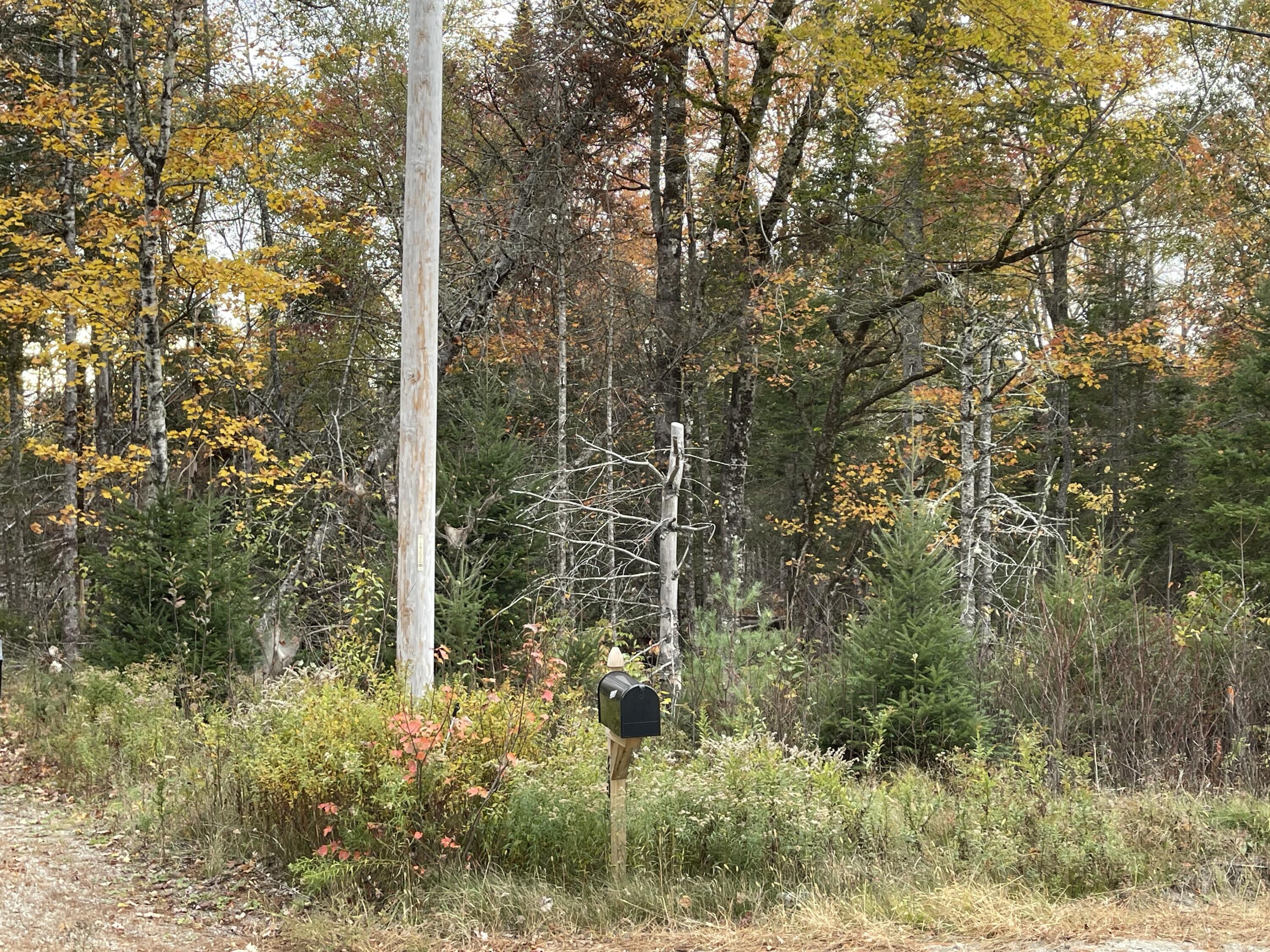 3306 Mariaville Road Mariaville, ME 04605 - Photo 3 of 21 IMG_7174