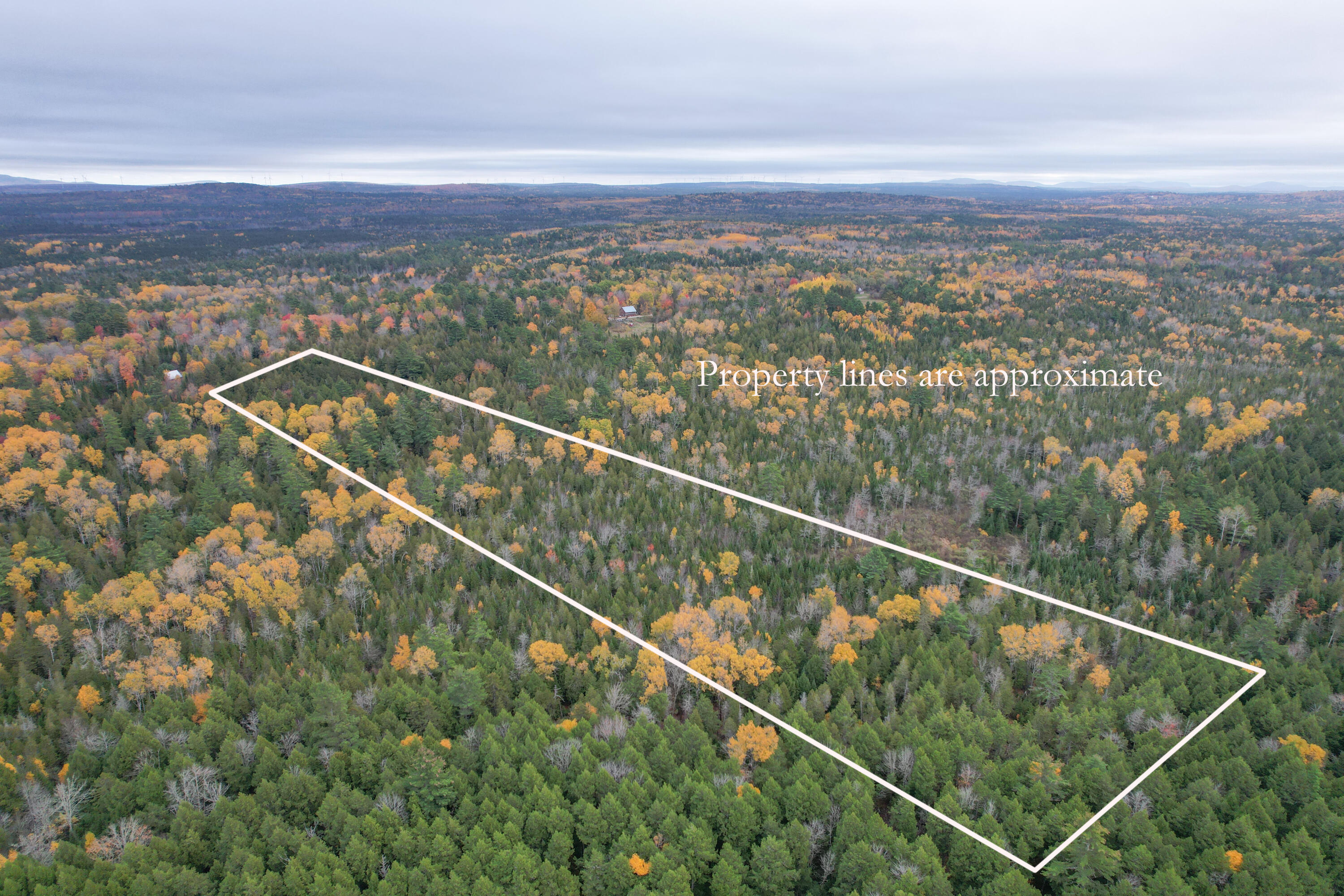 3306 Mariaville Road Mariaville, ME 04605 - Photo 5 of 21 Property lines 2
