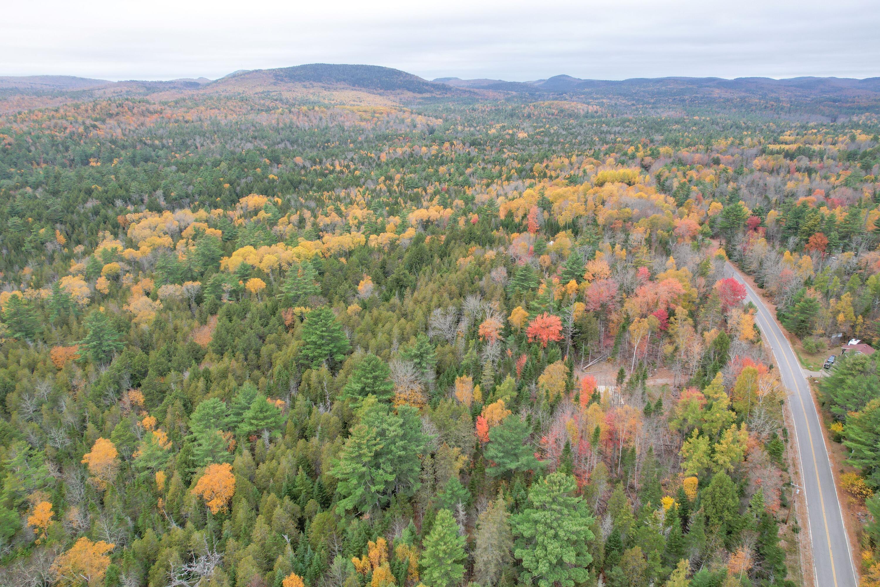 3306 Mariaville Road Mariaville, ME 04605 - Photo 10 of 21 DJI_0454