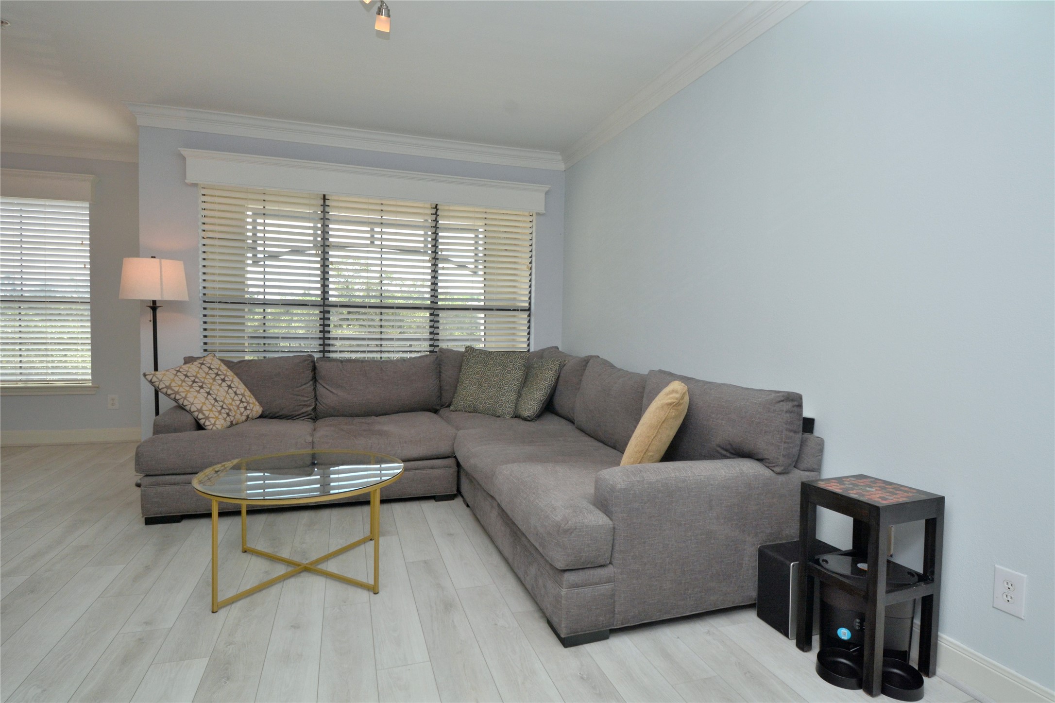 7701 Rialto Boulevard, Unit 124 Austin, TX 78735 - Photo 4 of 23 Living area featuring light wood-finish flooring, multiple windows with horizontal blinds, track lighting, and crown molding