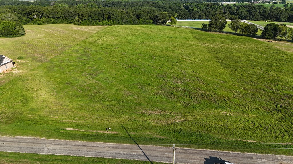 Lot 11 County Road 9 Newton, AL 36352 - Photo 4 of 12