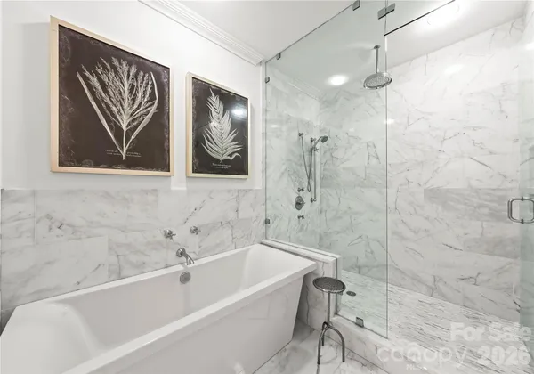 a bathroom with a bathtub and a shower