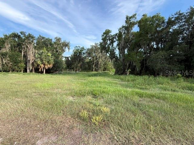Pool Branch Road Fort Meade, FL 33841 - Photo 7 of 15 a view of a grassy field with trees in the background