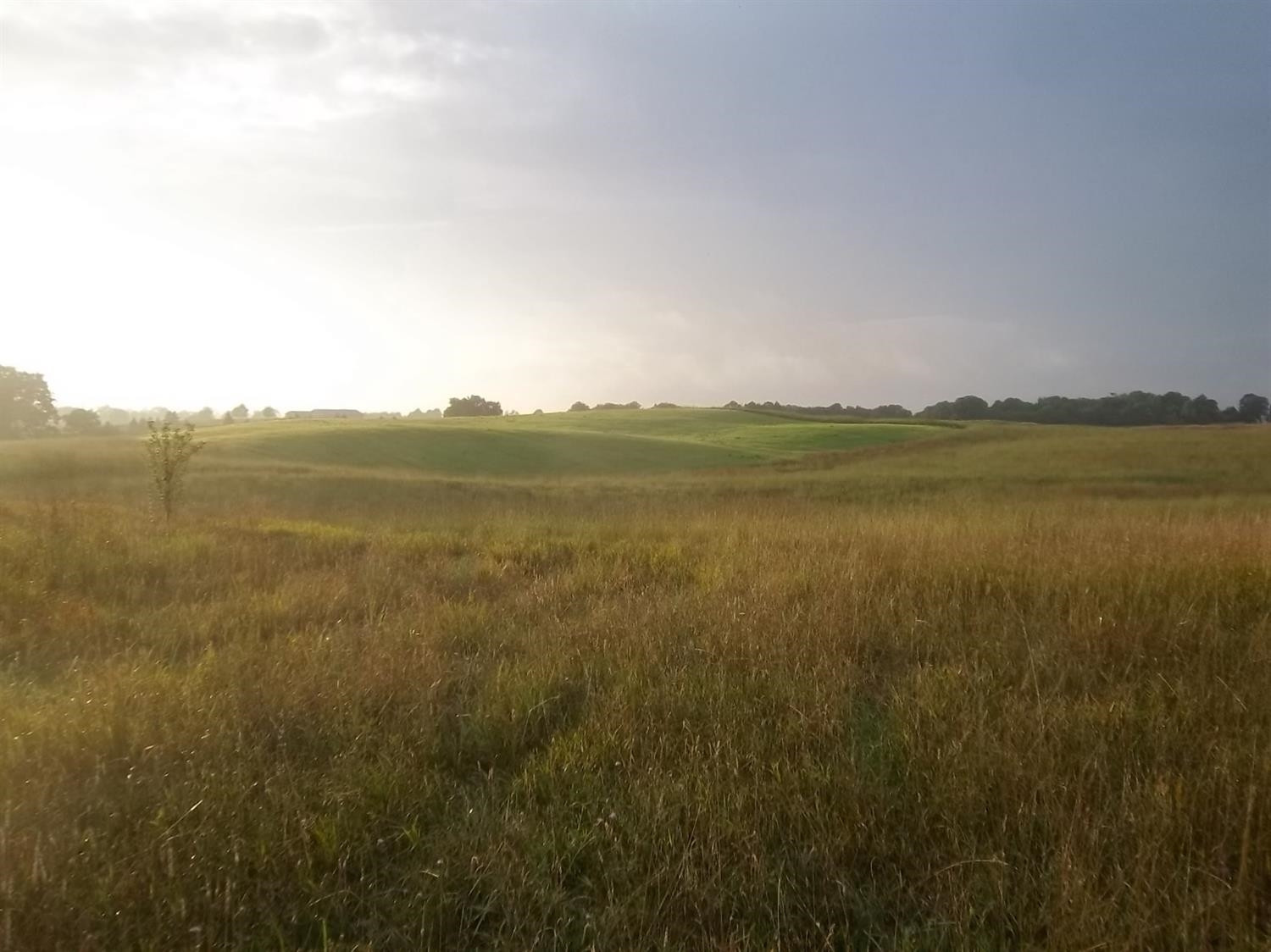 13557 Horning Road Brooklyn, MI 49230 - Photo 8 of 10 Photo 8