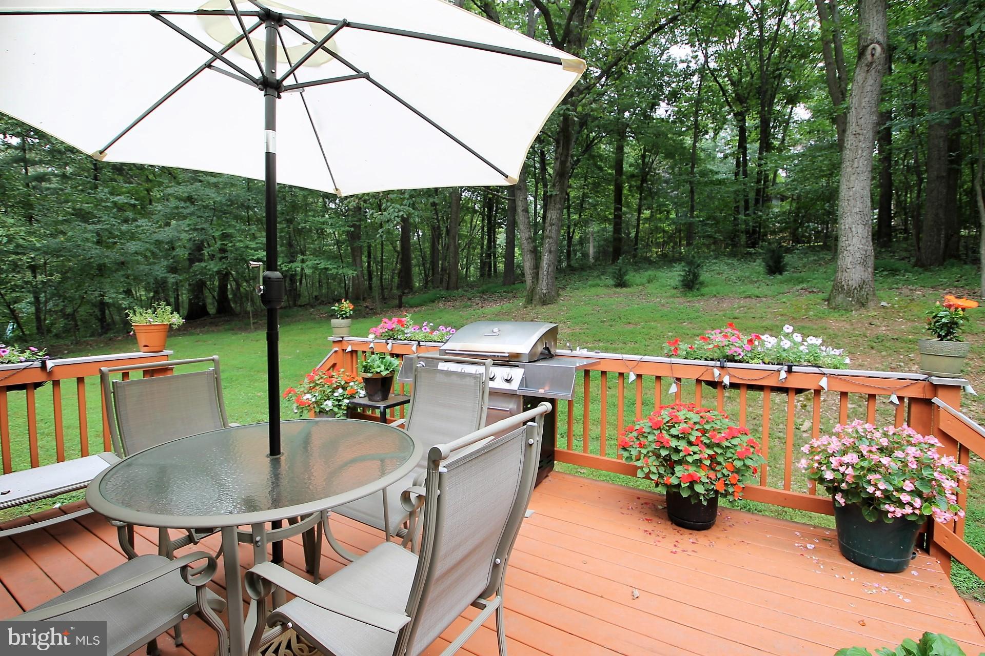 5609 West Falls Road Mount Airy, MD 21771 - Photo 27 of 33 Gallery Image 27