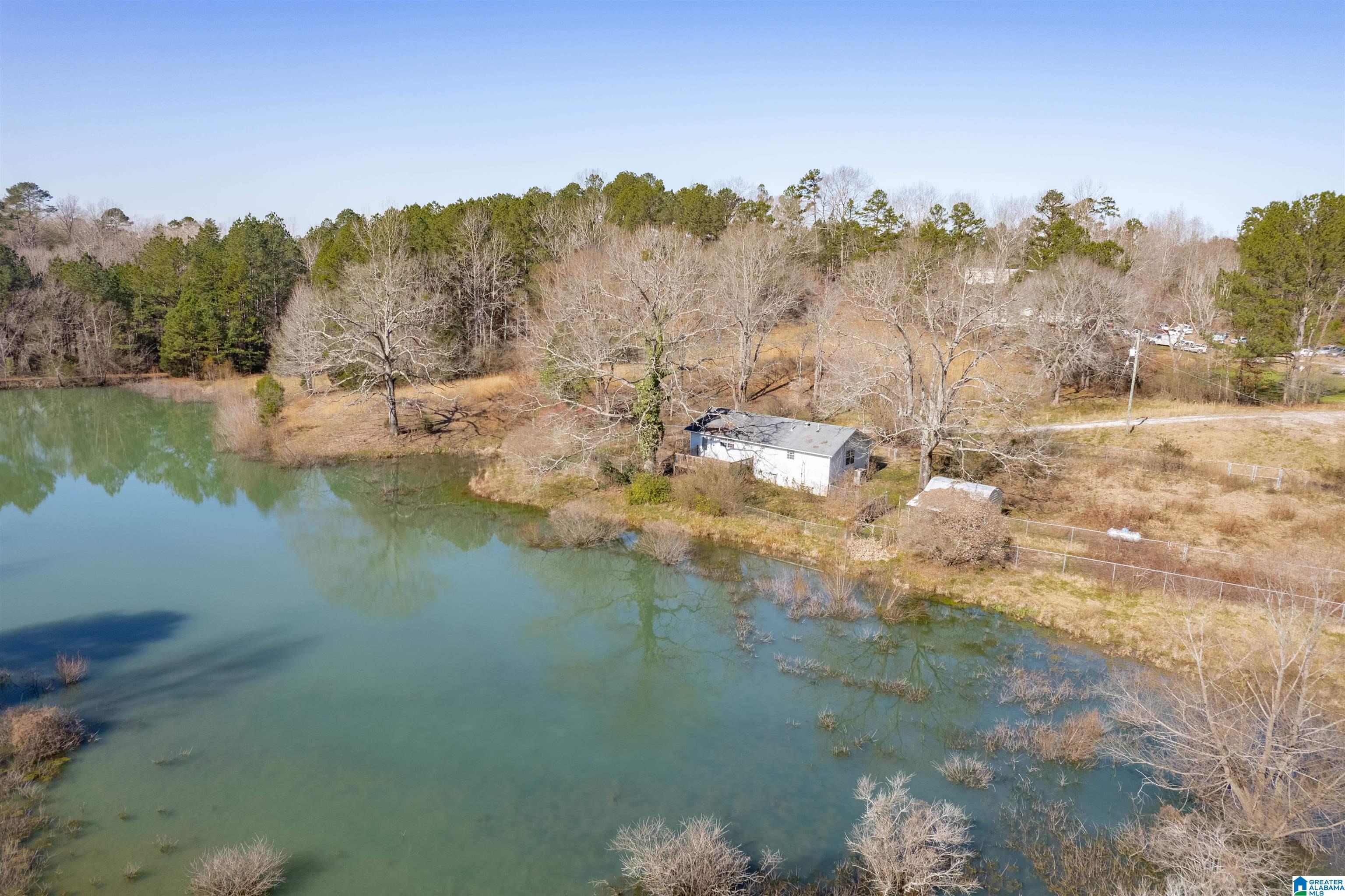 195 Wyatt Lake Road Odenville, AL 35120 - Photo 5 of 16